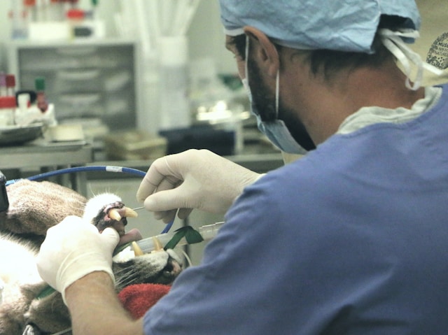 Medical Sector